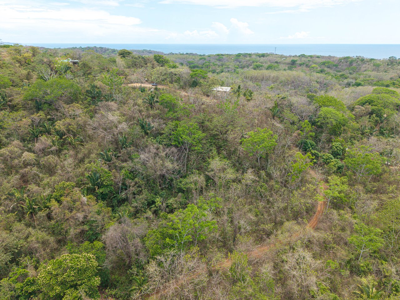 San Juanillo Farm | Large-Scale Ocean View Land with Investment Potential