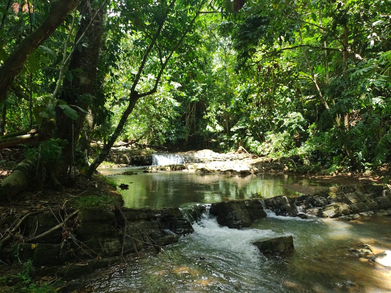 Villa Shanti: Luxurious 3-Bedroom Jungle Home in Ojochal, Costa Rica