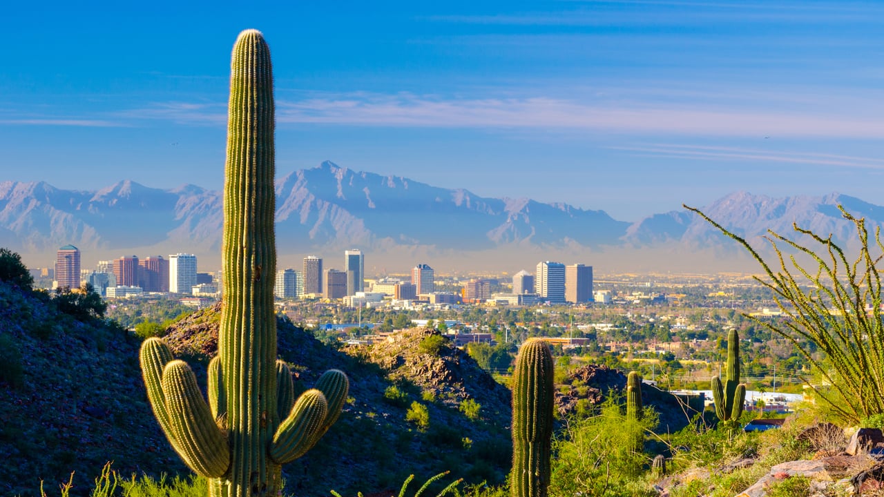 Desert Zen vs. City Chic: Finding Your "Identity Alignment"