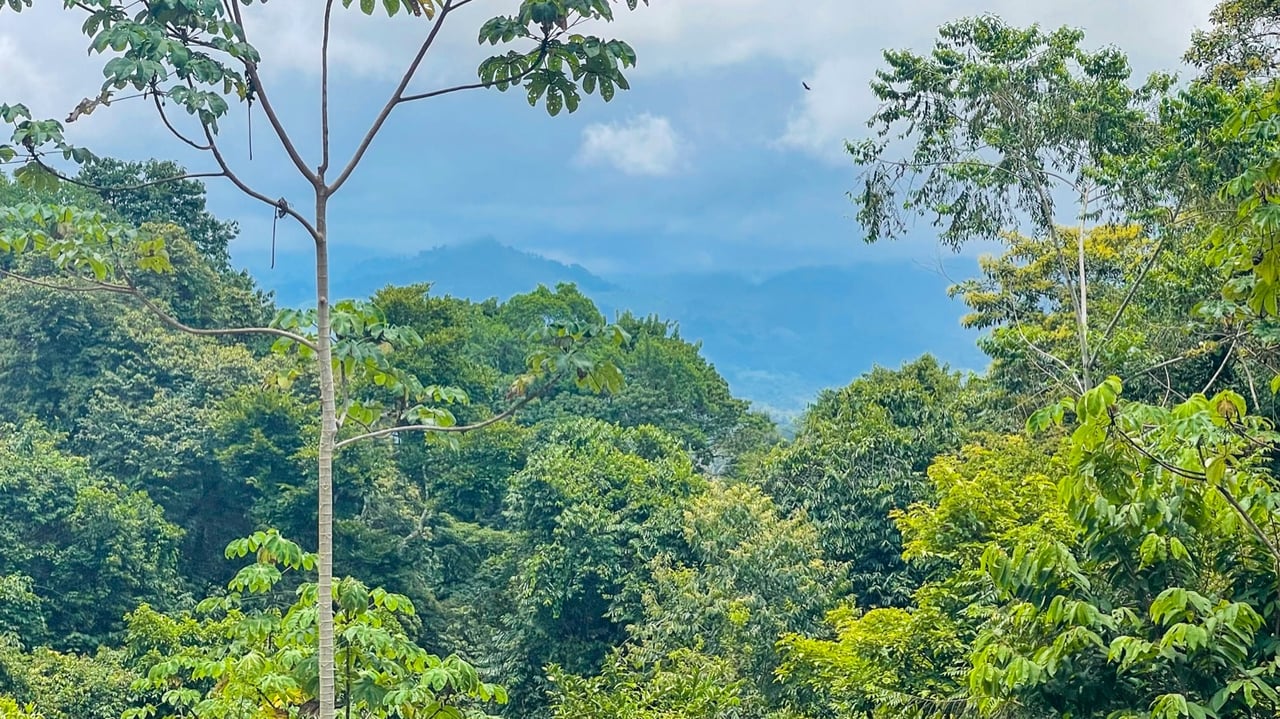 Scenic 2.53 Acres in Fila Cacao Ridge – Build-Ready Lot with Legal Water in Platanillo!