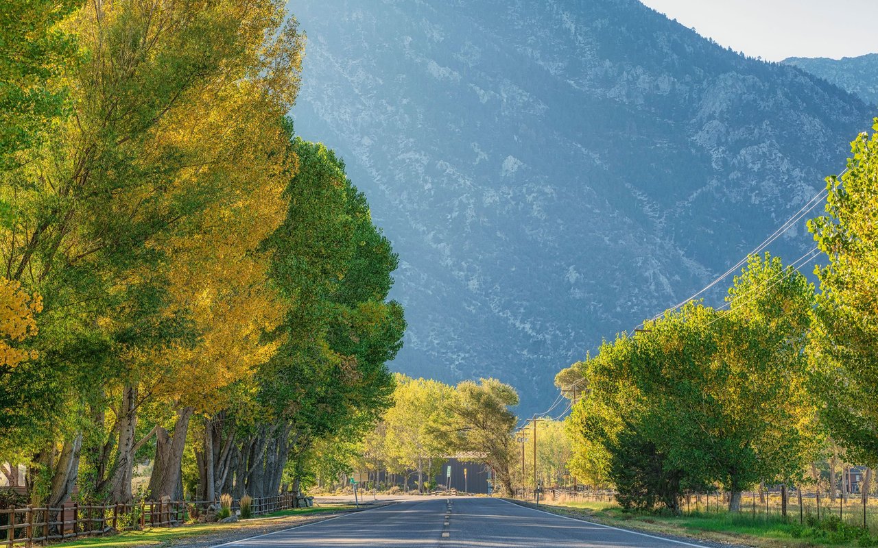 Gardnerville