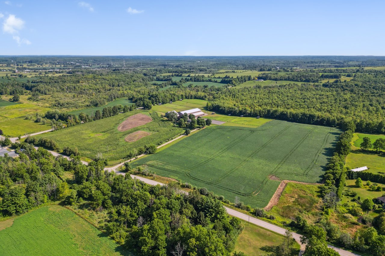Extraordinary Equestrian Estate