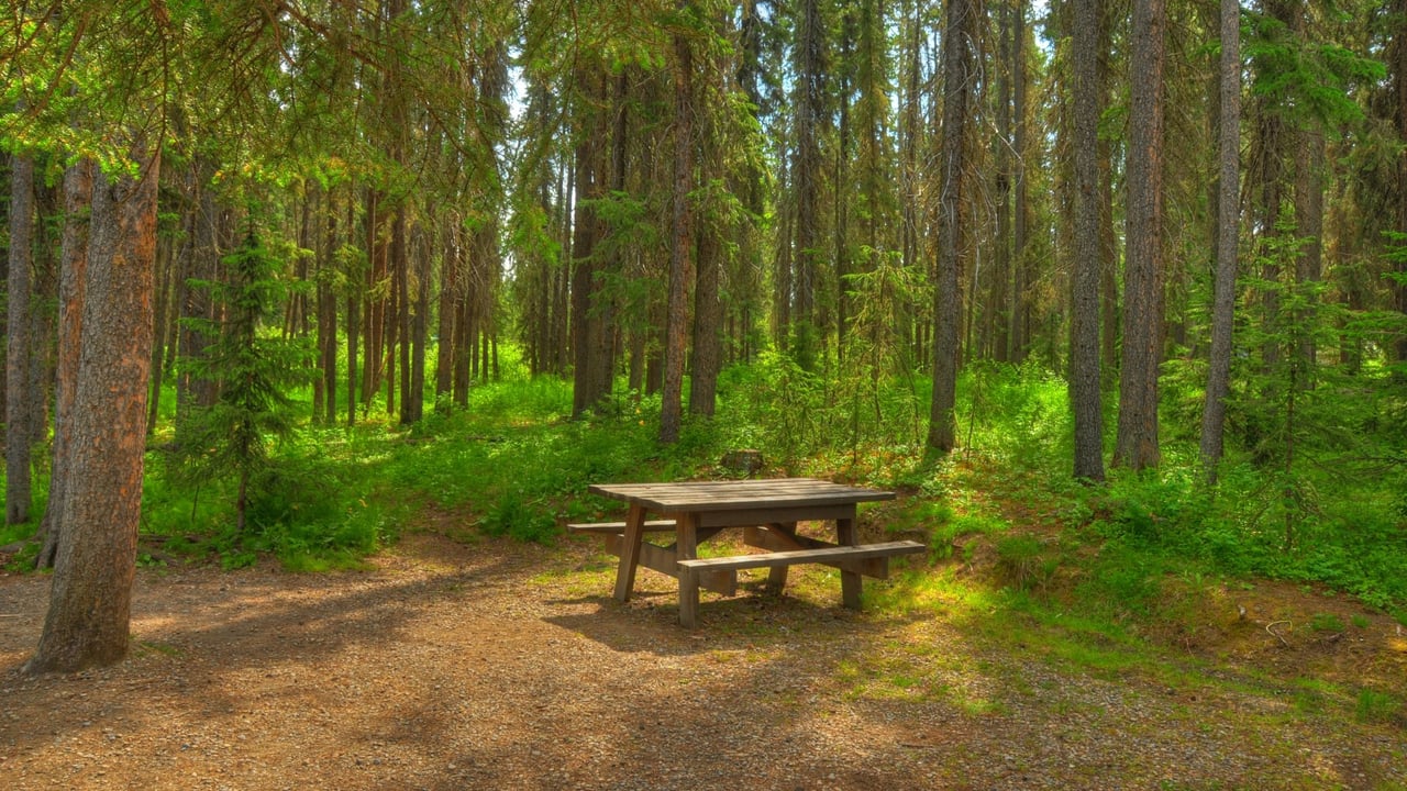 The Woodlands