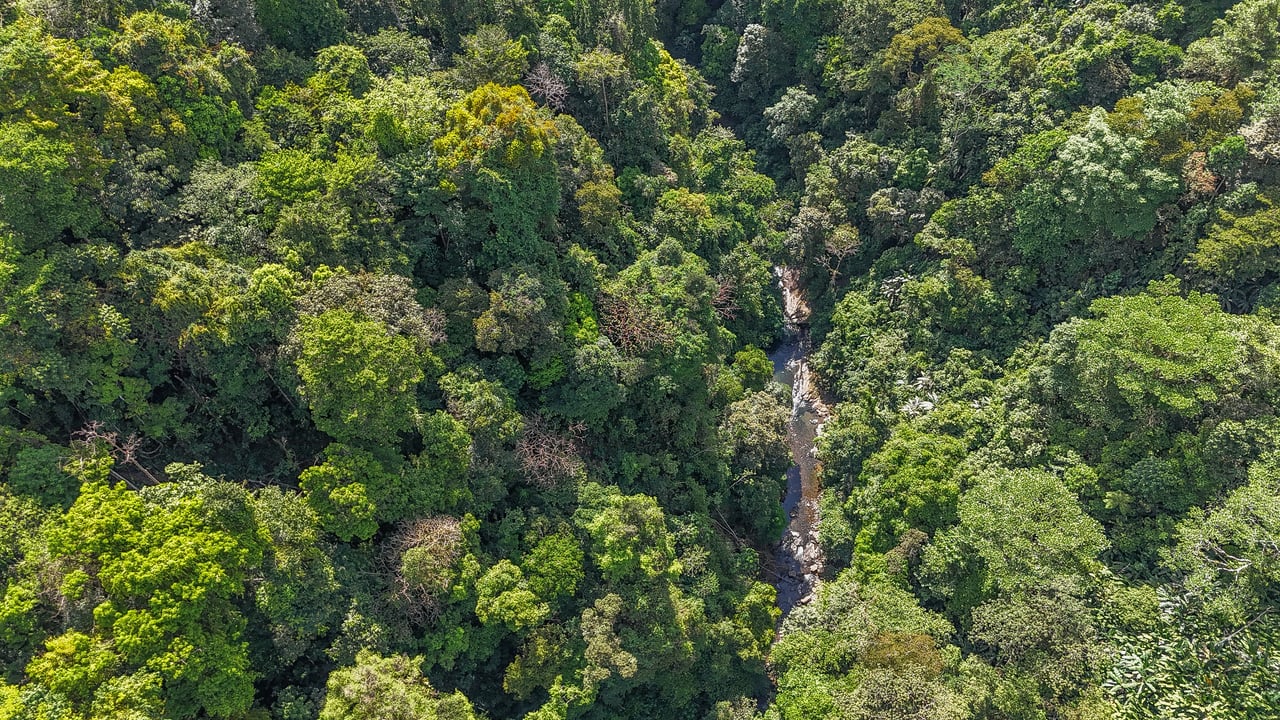 An Exclusive, Sunny Ridge-Top 4-Bed Designer House With Unforgettable Mountain & Jungle Views
