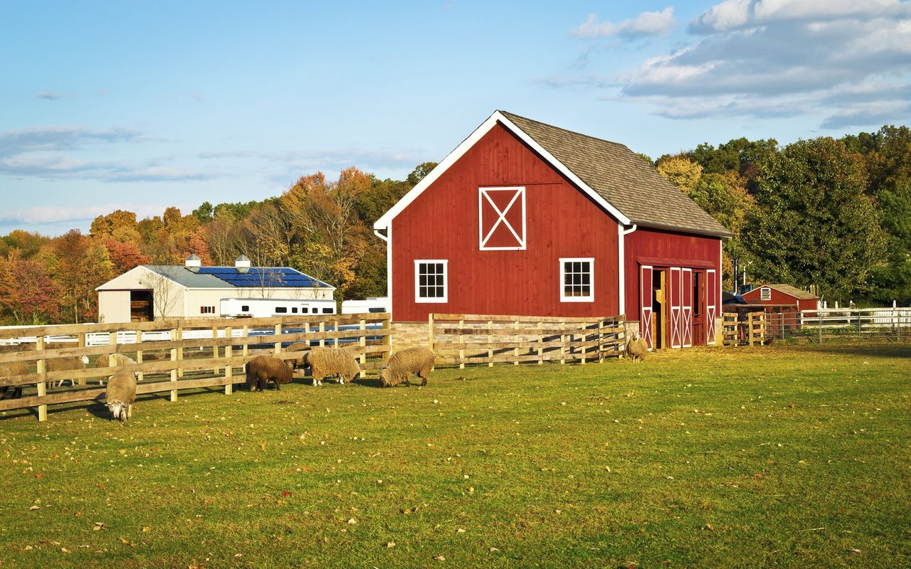 Readington Township
