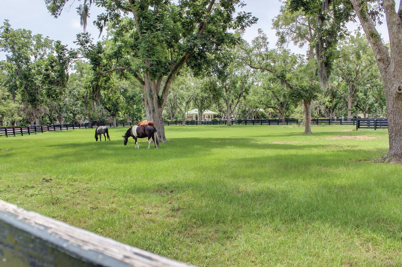 Moss Creek