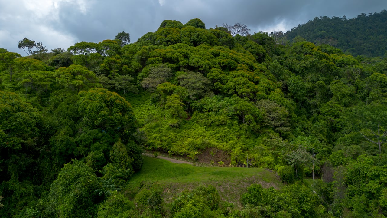 Oceancrest Cascada, Cascada el Sandalo 