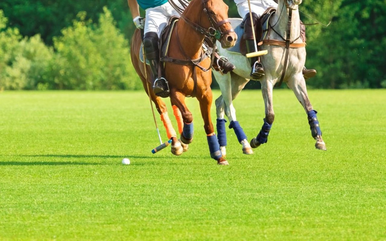 Saddle Up in Style: Polo in Paradise