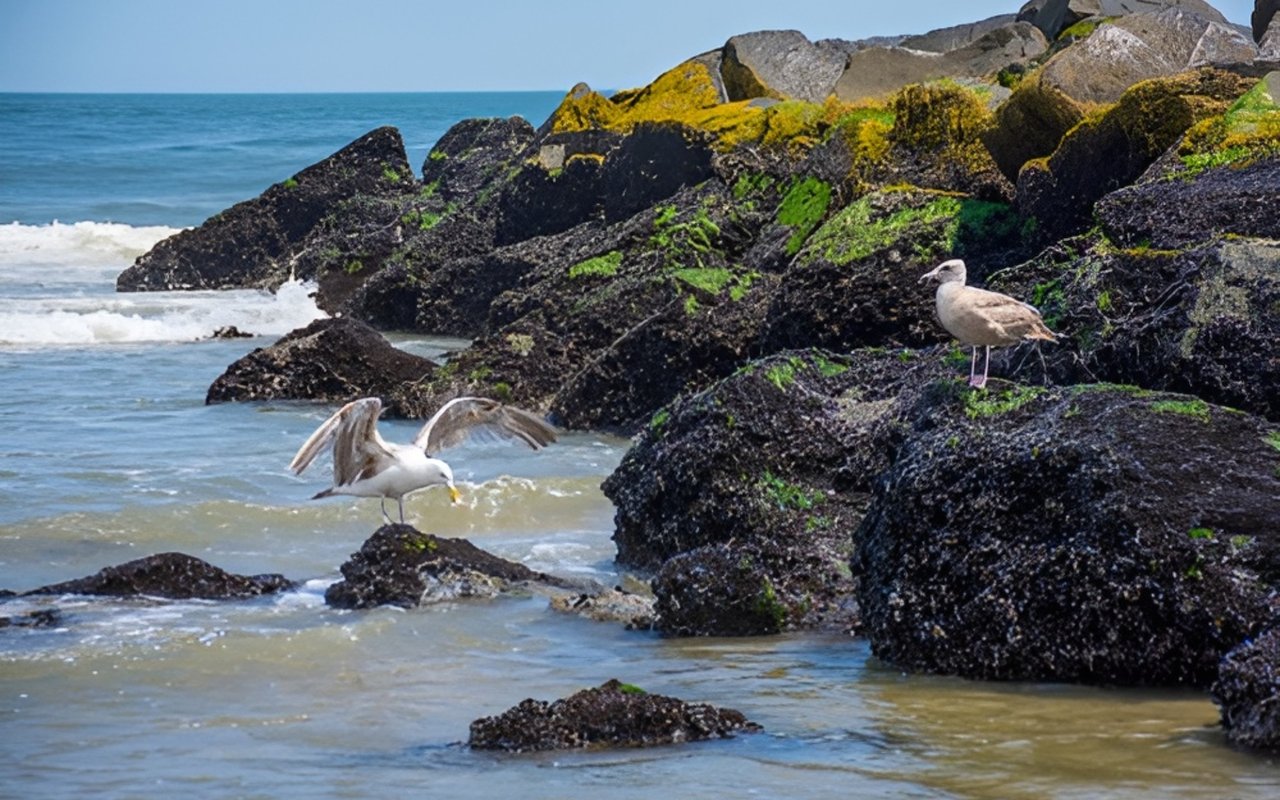 Welcome to Spring Lake, NJ: A Shore Spotlight!