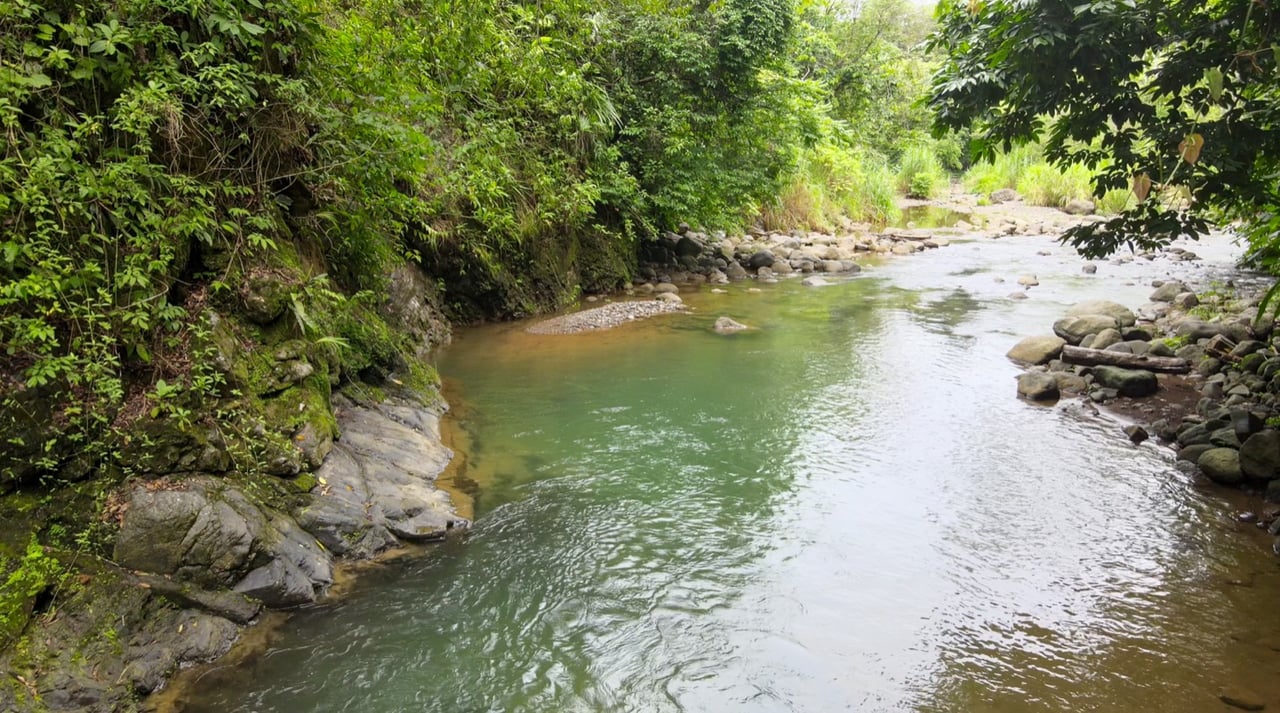 Contemporary Jungle Retreat in Tres Rios, Costa Rica