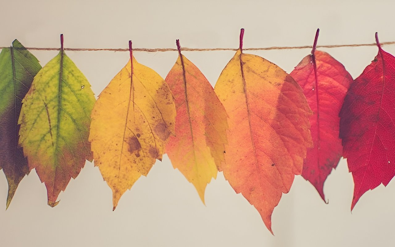 Fall Home Maintenance