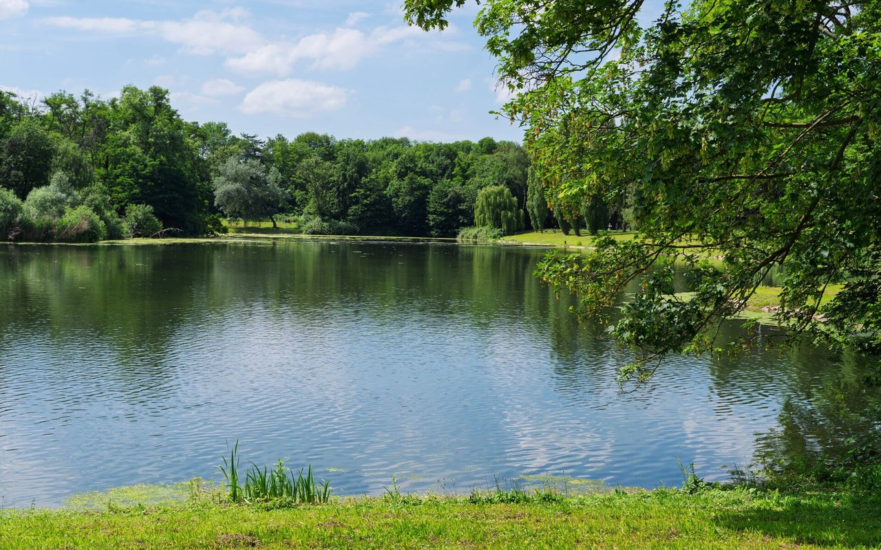 Terry Shores