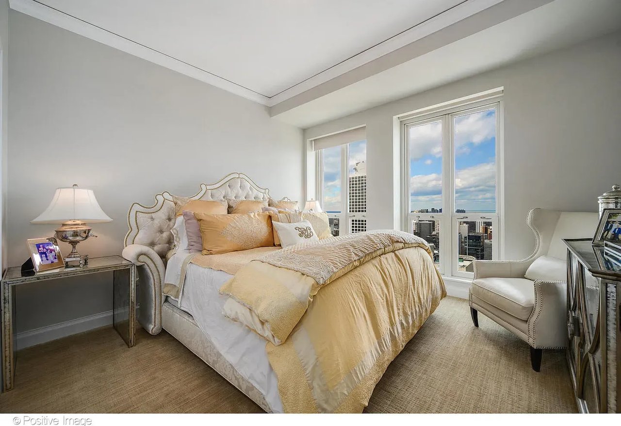 11 E Walton St APT 4102
