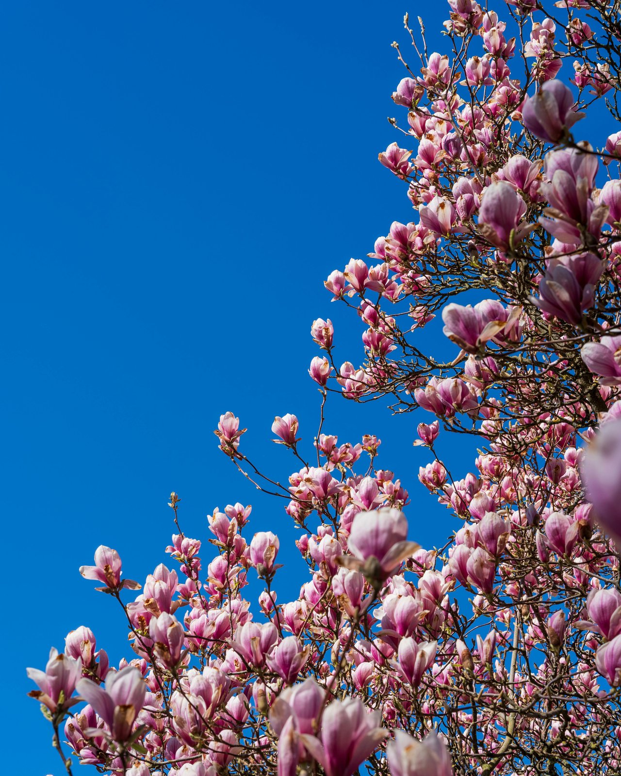 April showers bring May flowers . . . 