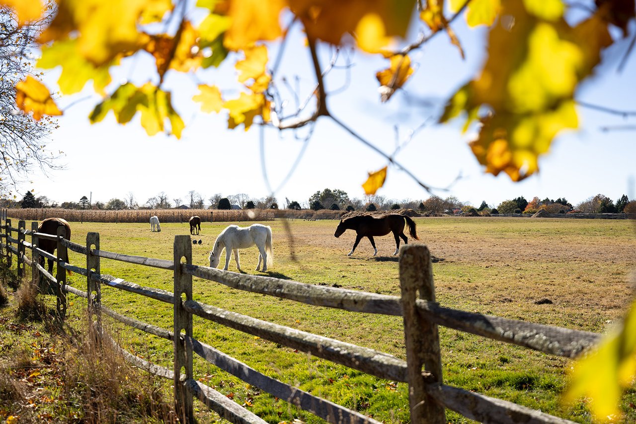 Magnificent Bridgehampton Estate