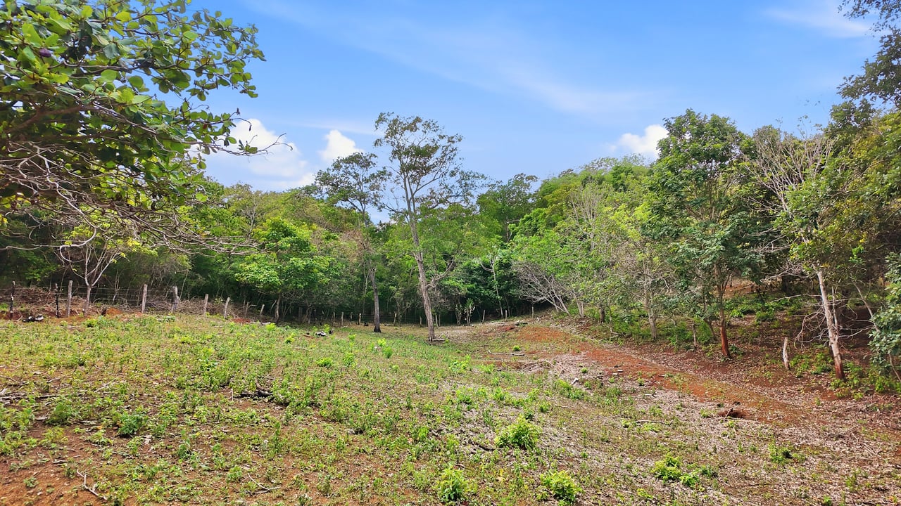 3.4 Acres of Quiet Country Living | 12 minutes from the Beach - Tempate 