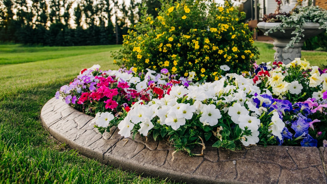 Boost Curb Appeal This Spring: Garden Prep Tips for Portola Springs & Great Park Homes