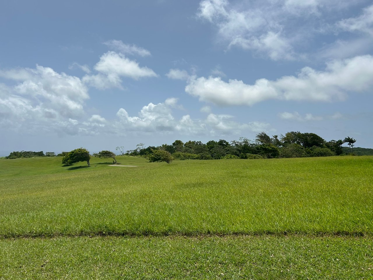 Apes Hill, Holders Meadow, H16