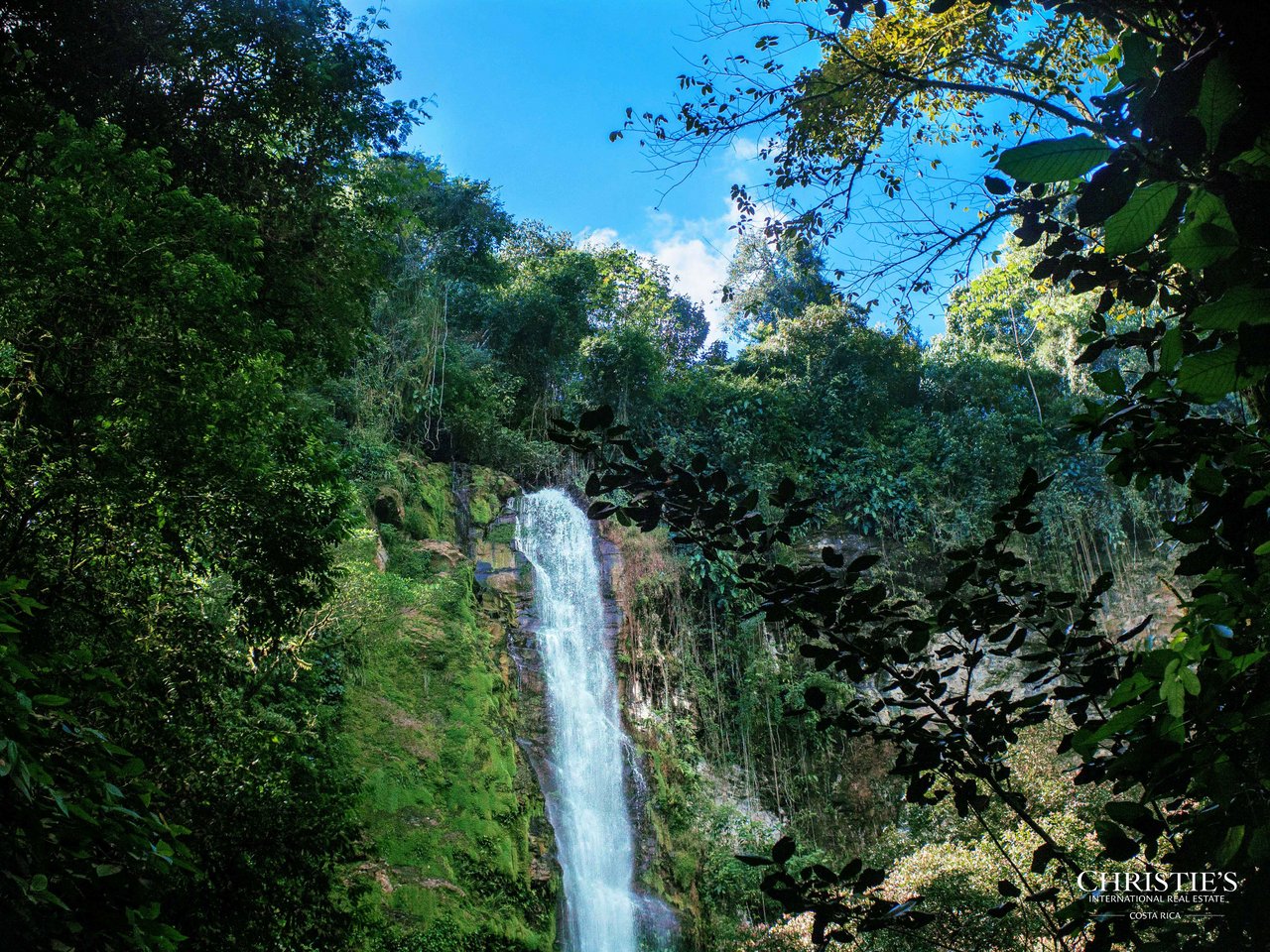 El Encanto Estate a Legacy Property, Waterfall Regenerative Land and Carbon Neutral Sanctuary