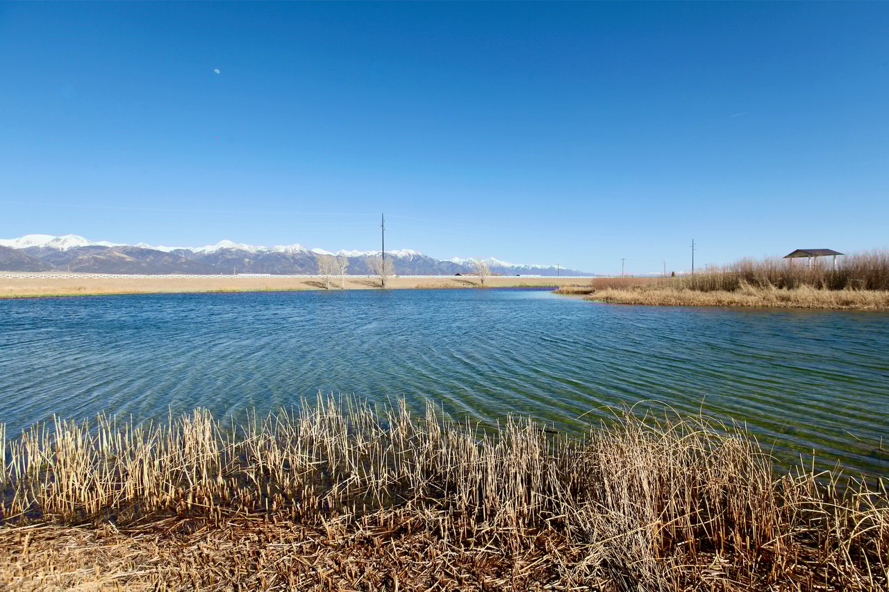 Woodard Avenue Homesite