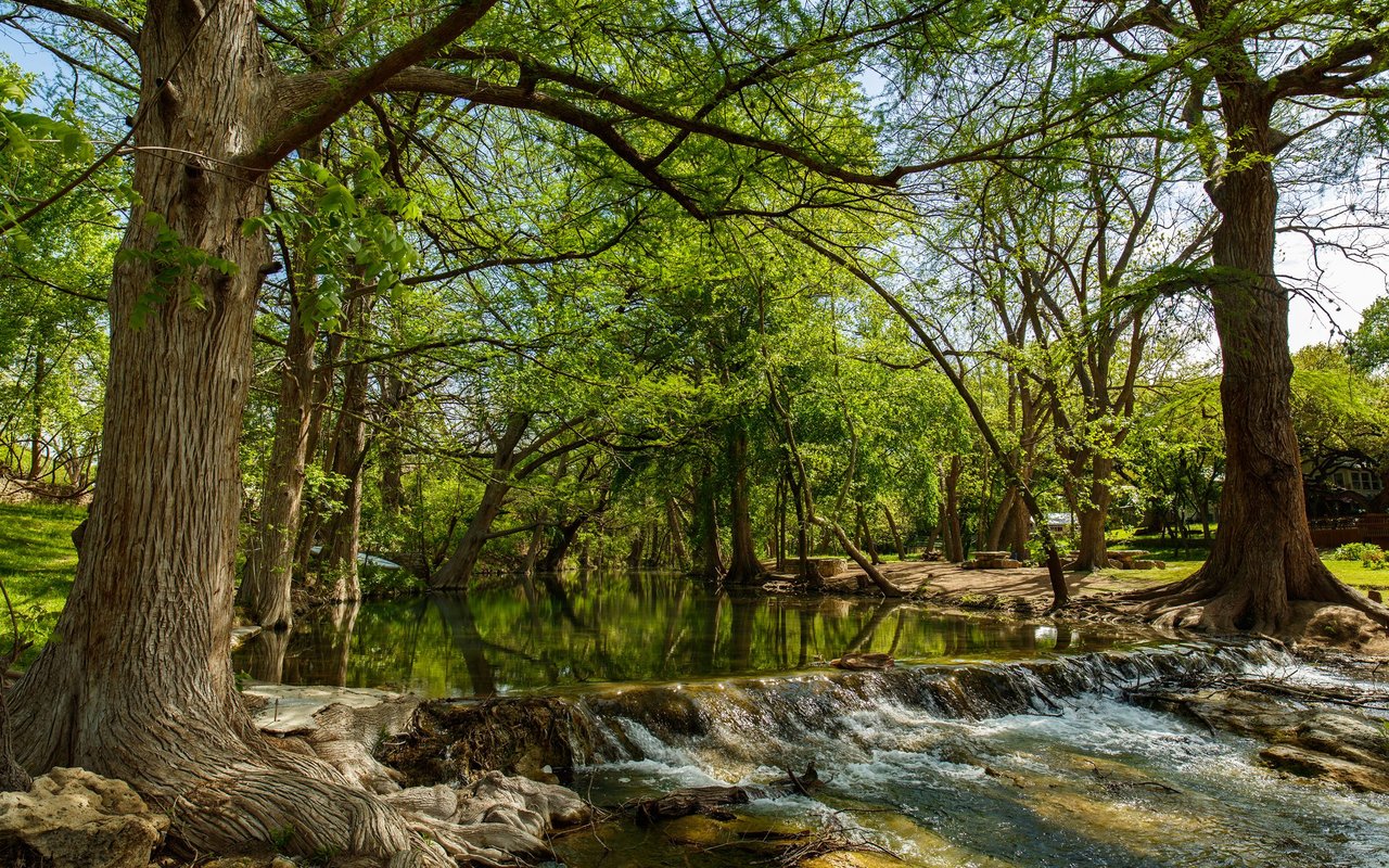Tree-lined creek flowing over a rocky ledge beneath a canopy of mature trees
