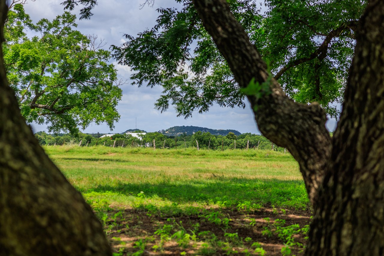 Live Oak Creek Ranch 