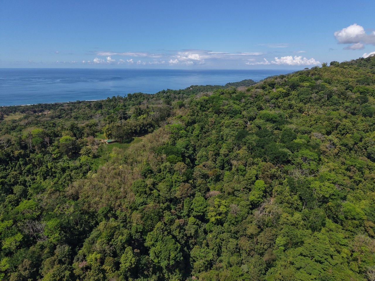 FINCA SAN JOSECITO | Prime 20-Hectare Ocean View Property for Sale in Uvita, Costa Rica