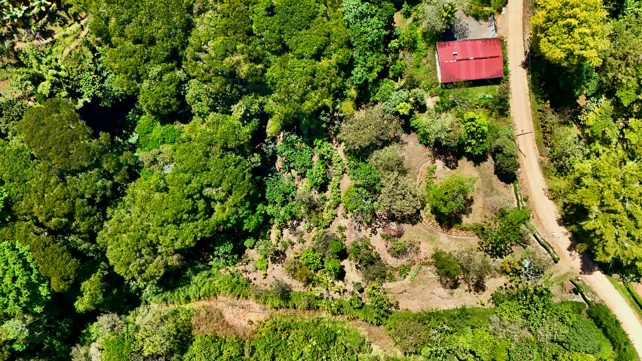 New 1,4 Acre lot in Platanillo – With Legal Water  