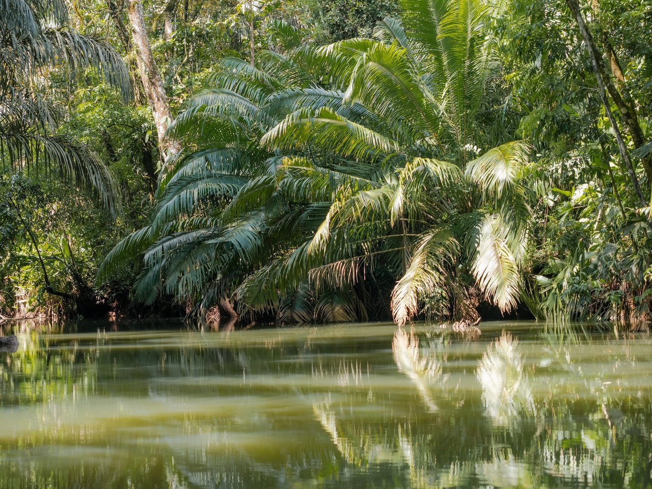 776 Hectares Prime Land in Osa | Ocean Views, Waterfalls, Rivers & Sierpe River Access