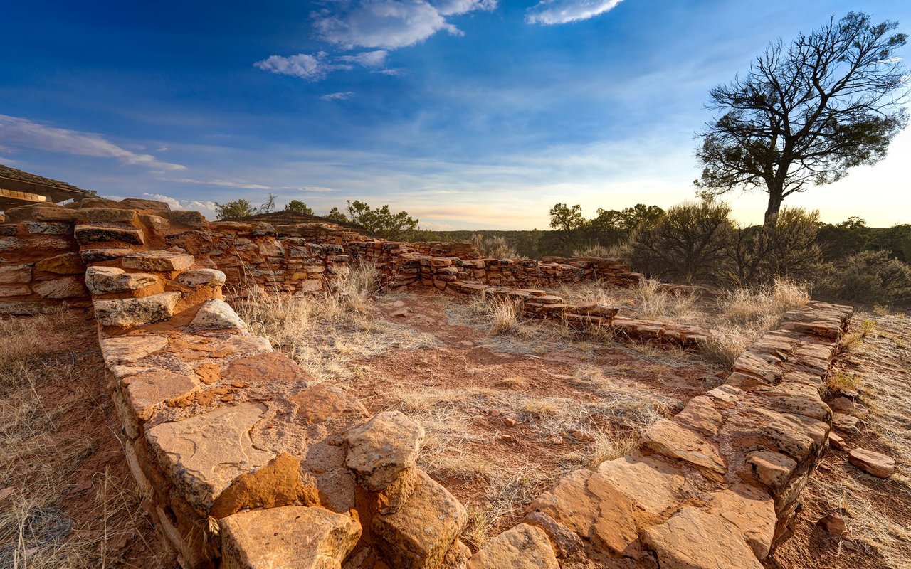 Stone ruins and dry grasses beneath a leafless tree at golden hour.