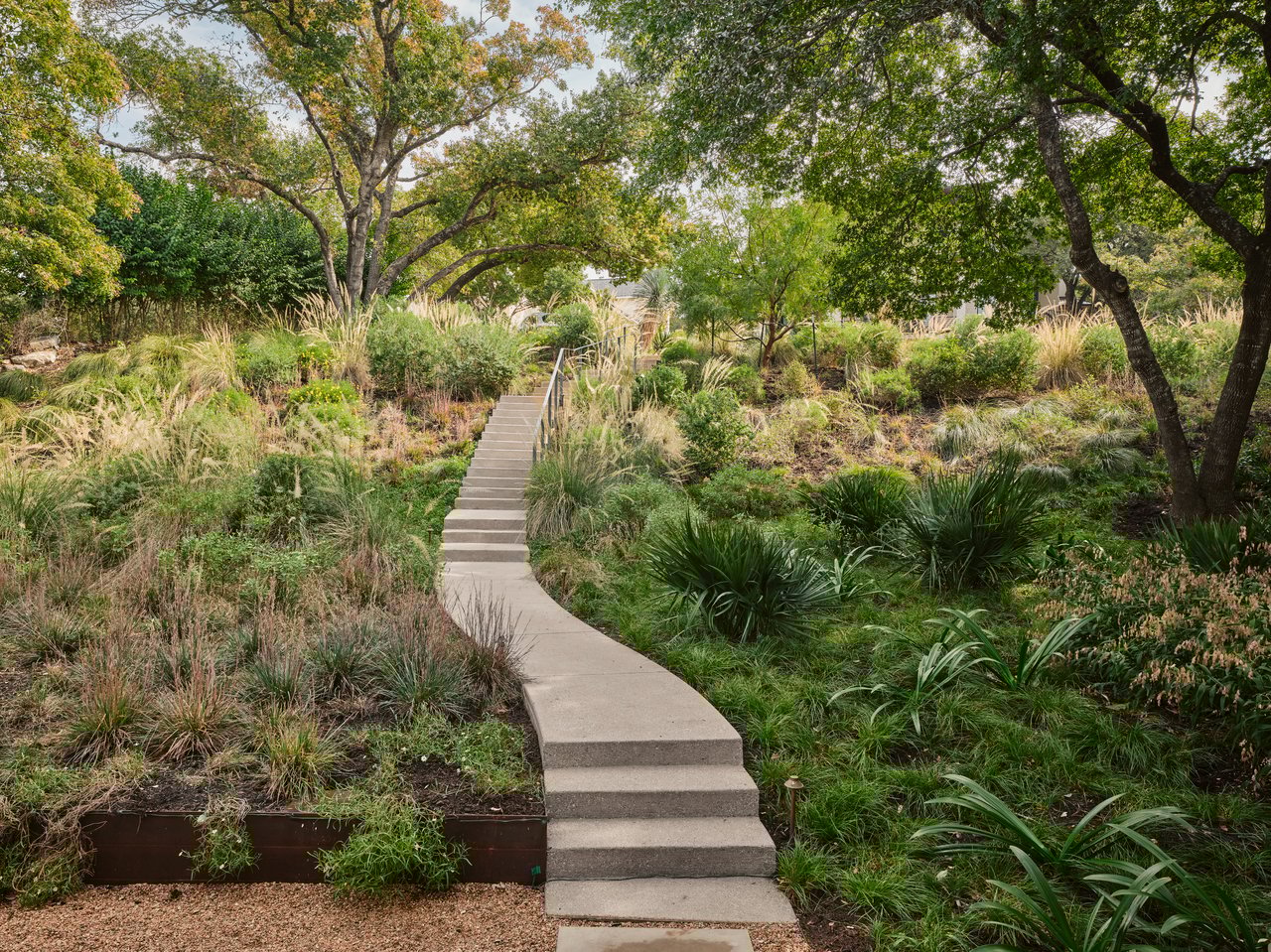 Austin Modern Sanctuary