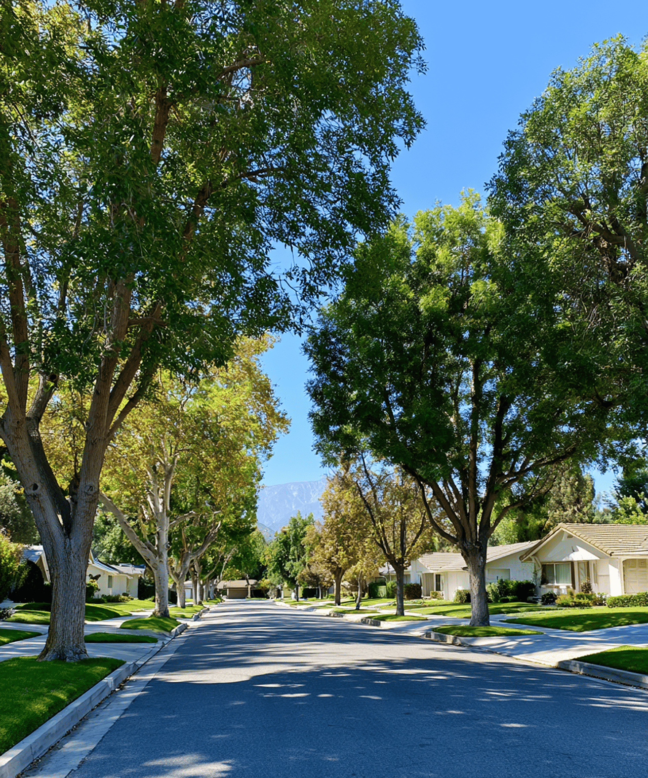 Home Valuation