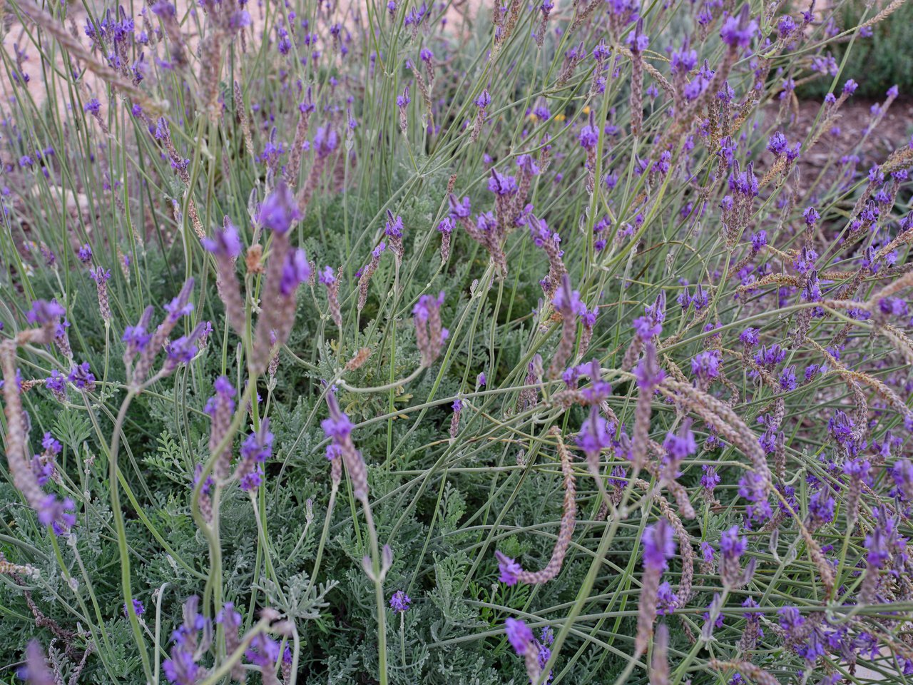 1934 N Walnut Springs Rd