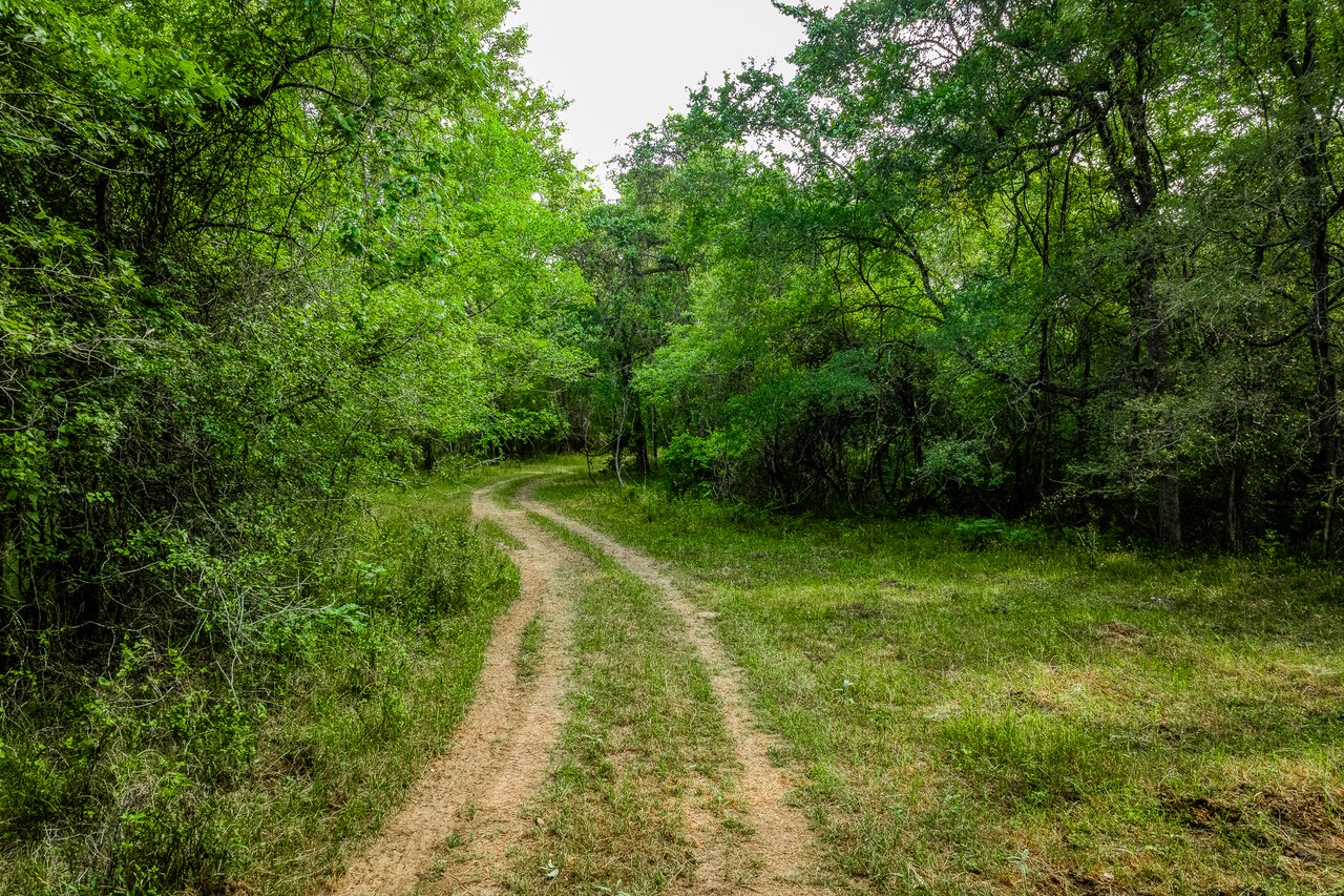 Revival Ranch TX