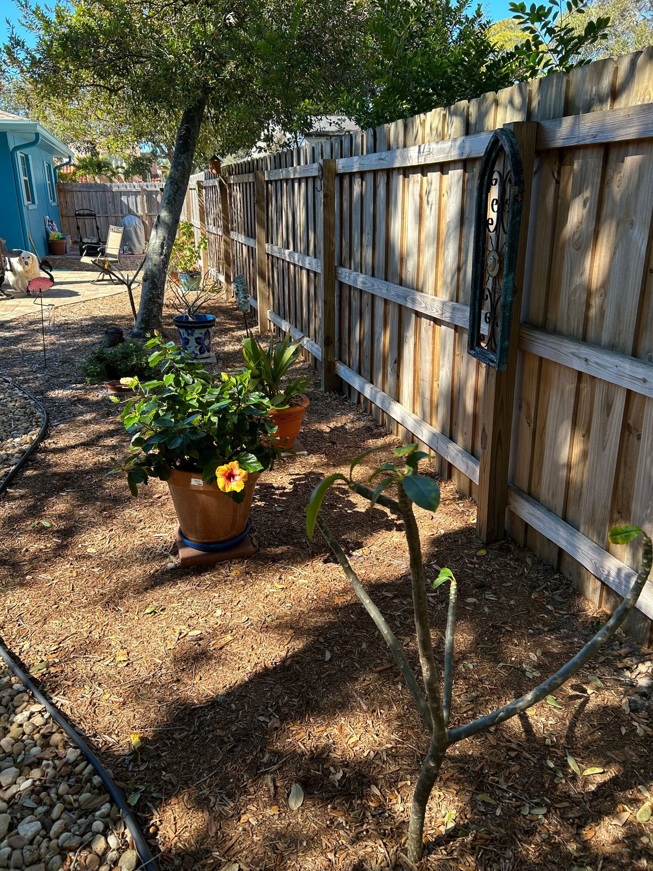 Dunedin Bungalow | Bayshore Blvd