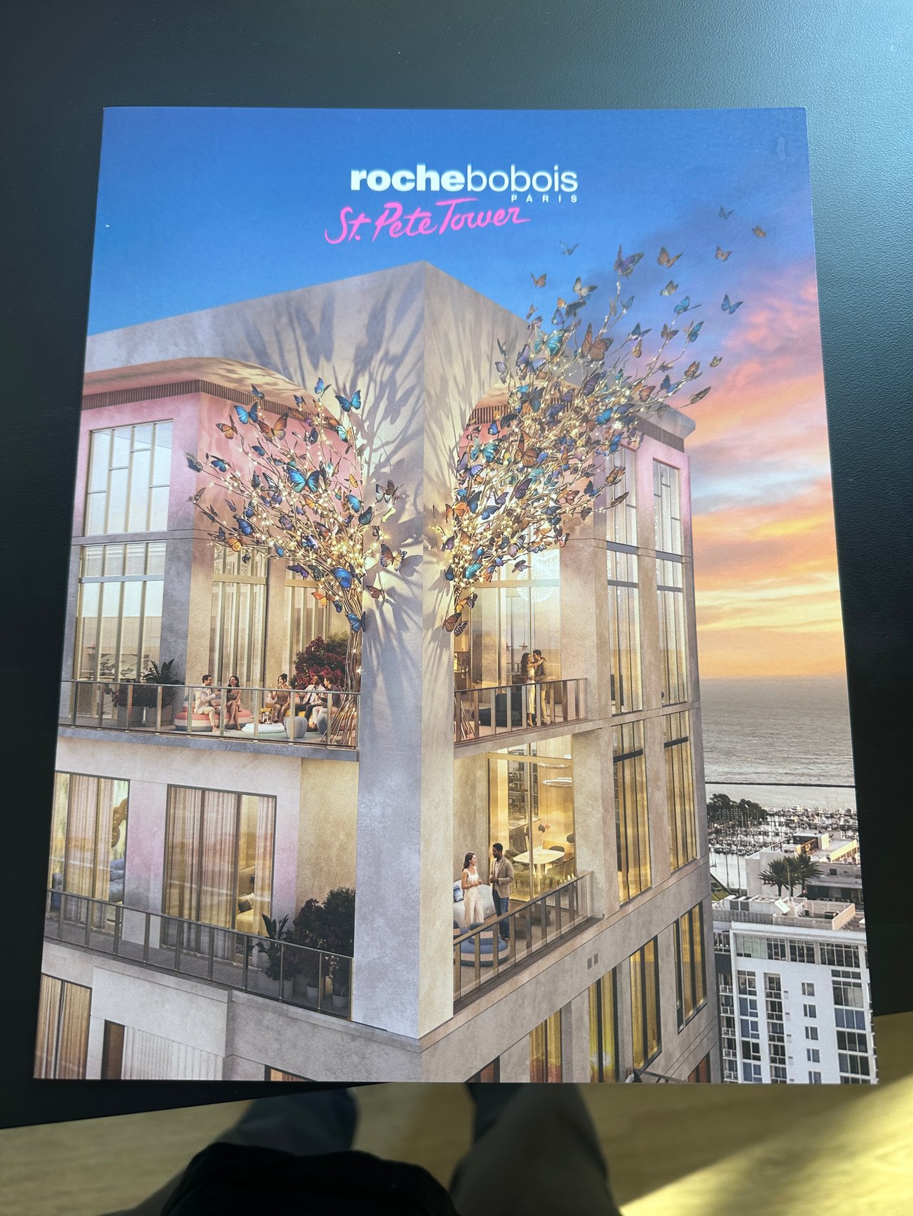 Roche Bobois St. Pete Tower Condos