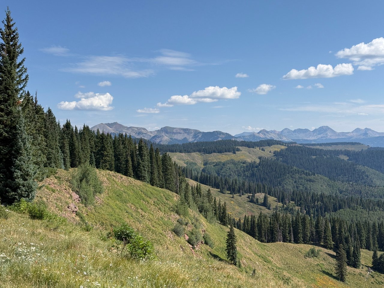 Forested mountain ridges beyond a sunny grassy hillside.