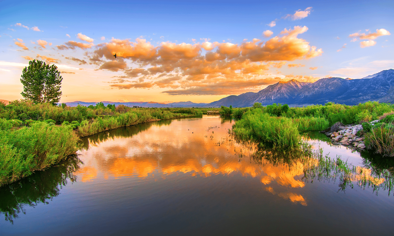 Gardnerville