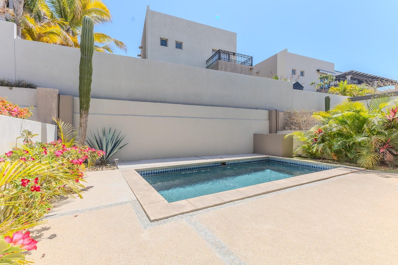 Ventanas - 22 Las Ballenas