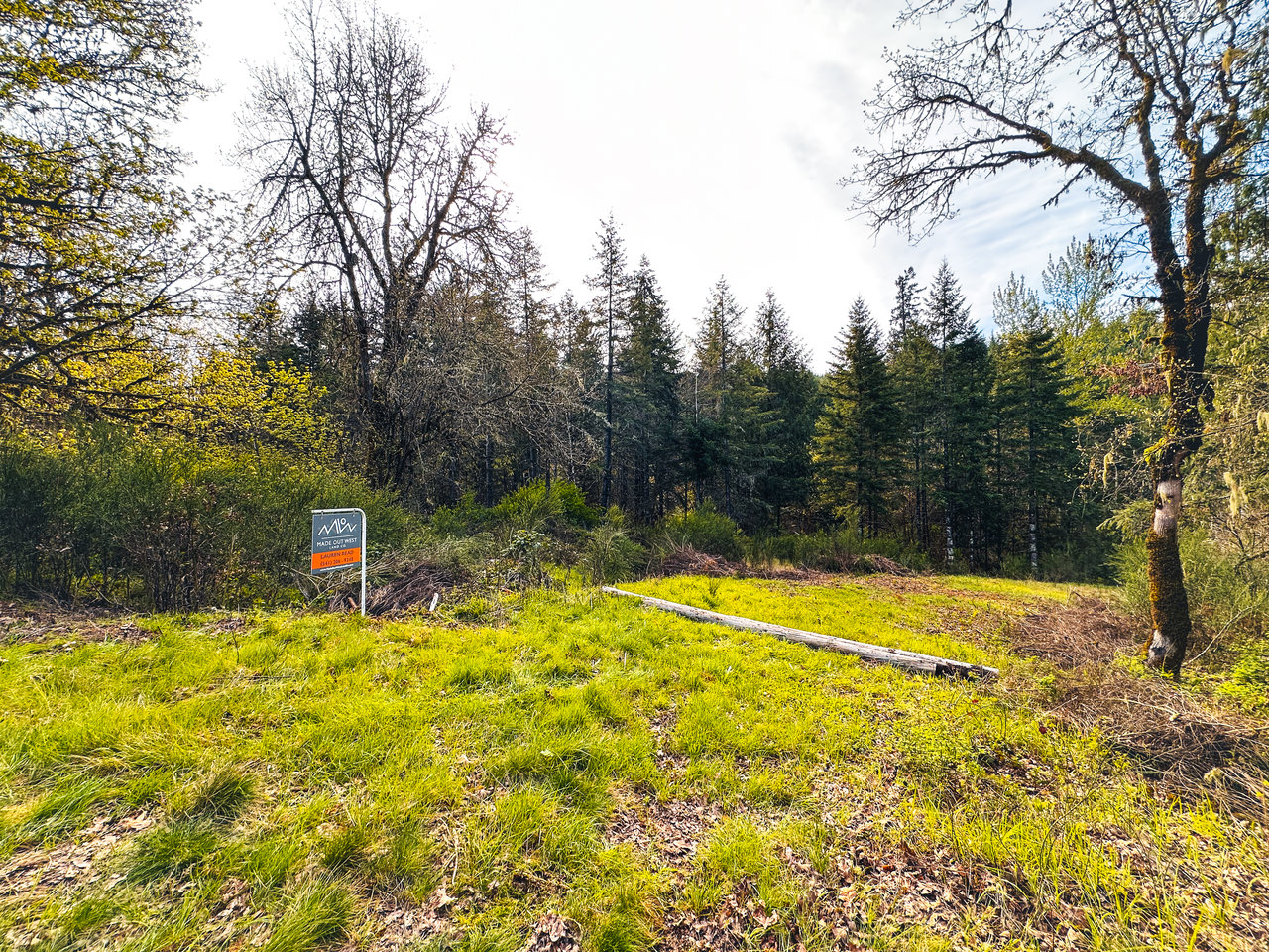 Liberty Forest Auction