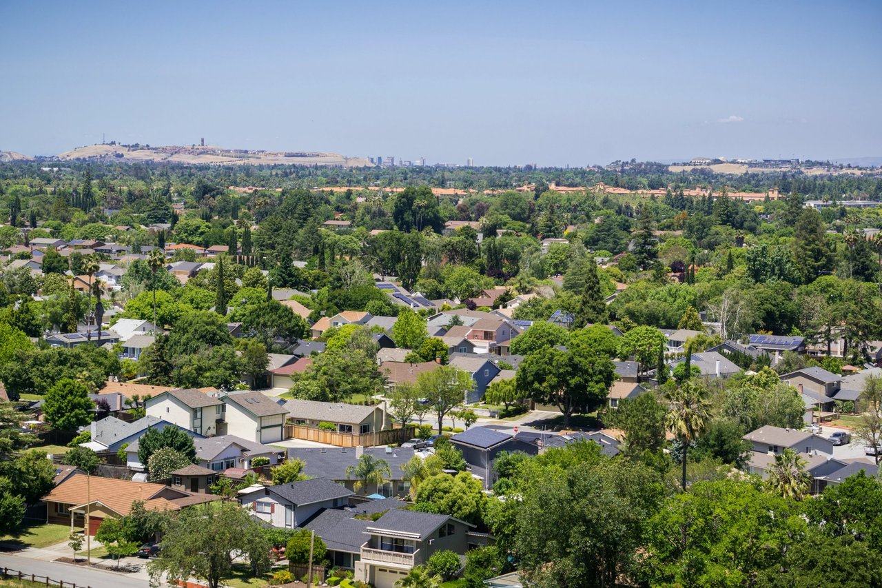 Forrest Hills