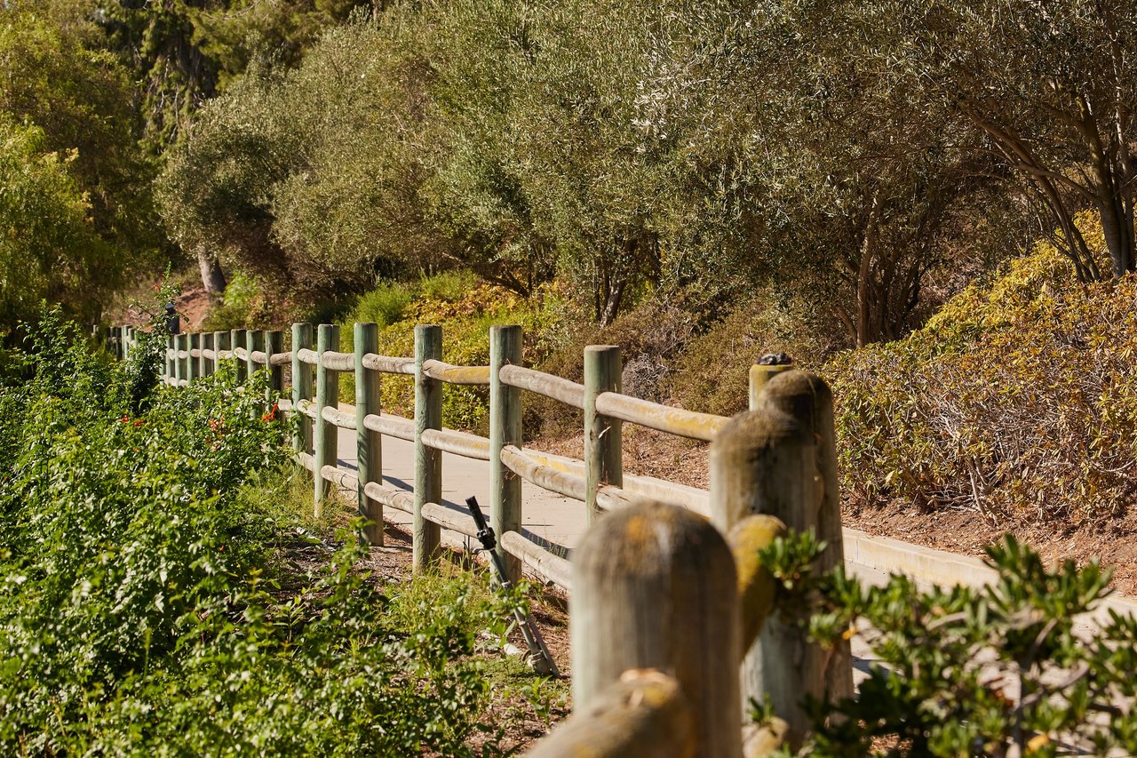 Paved walking path beside a weathered wooden split-rail fence, with olive trees and green shrubs on the slope behind.