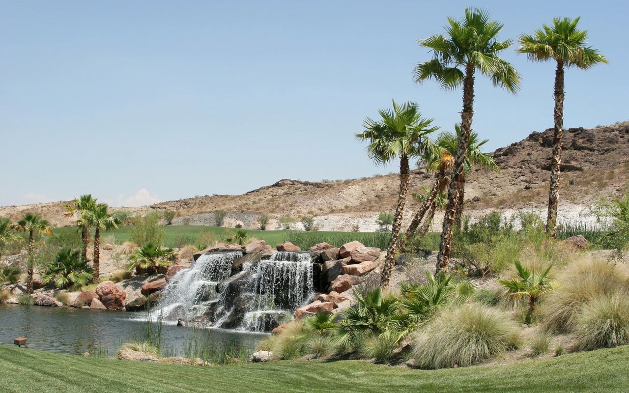 Rock waterfall and pond framed by palm trees and desert landscaping.