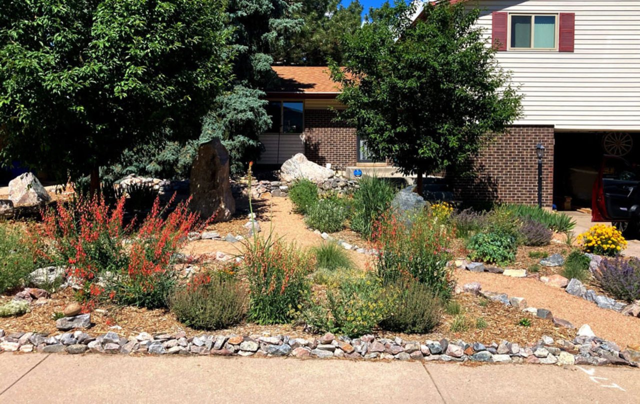 Xeriscaped front yard in Colorado featuring native plants, mulch pathways, ornamental grasses, and drought-tolerant landscaping