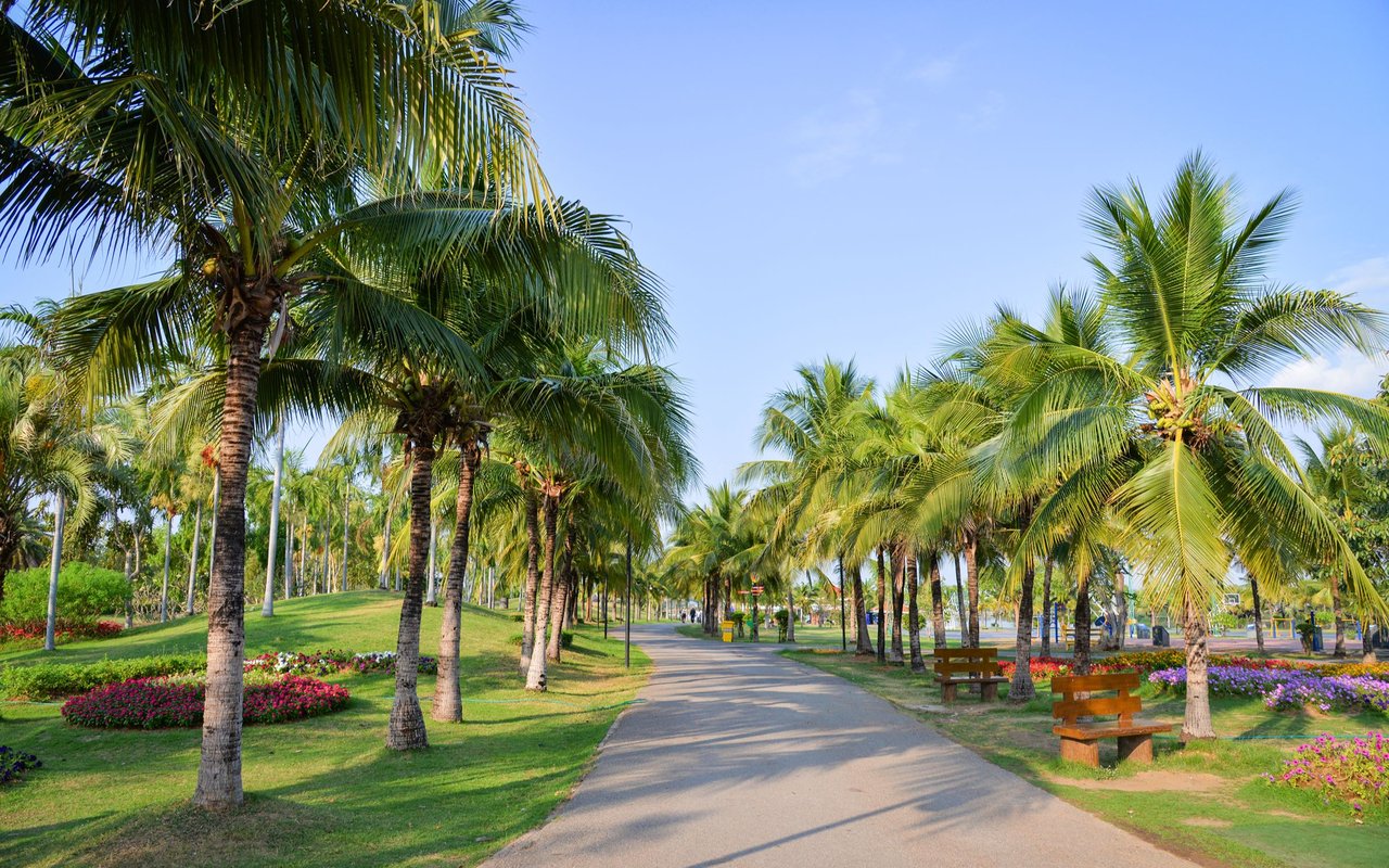 Palm Beach Gardens