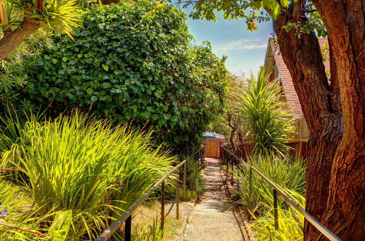 Sausalito Gem with San Francisco Views