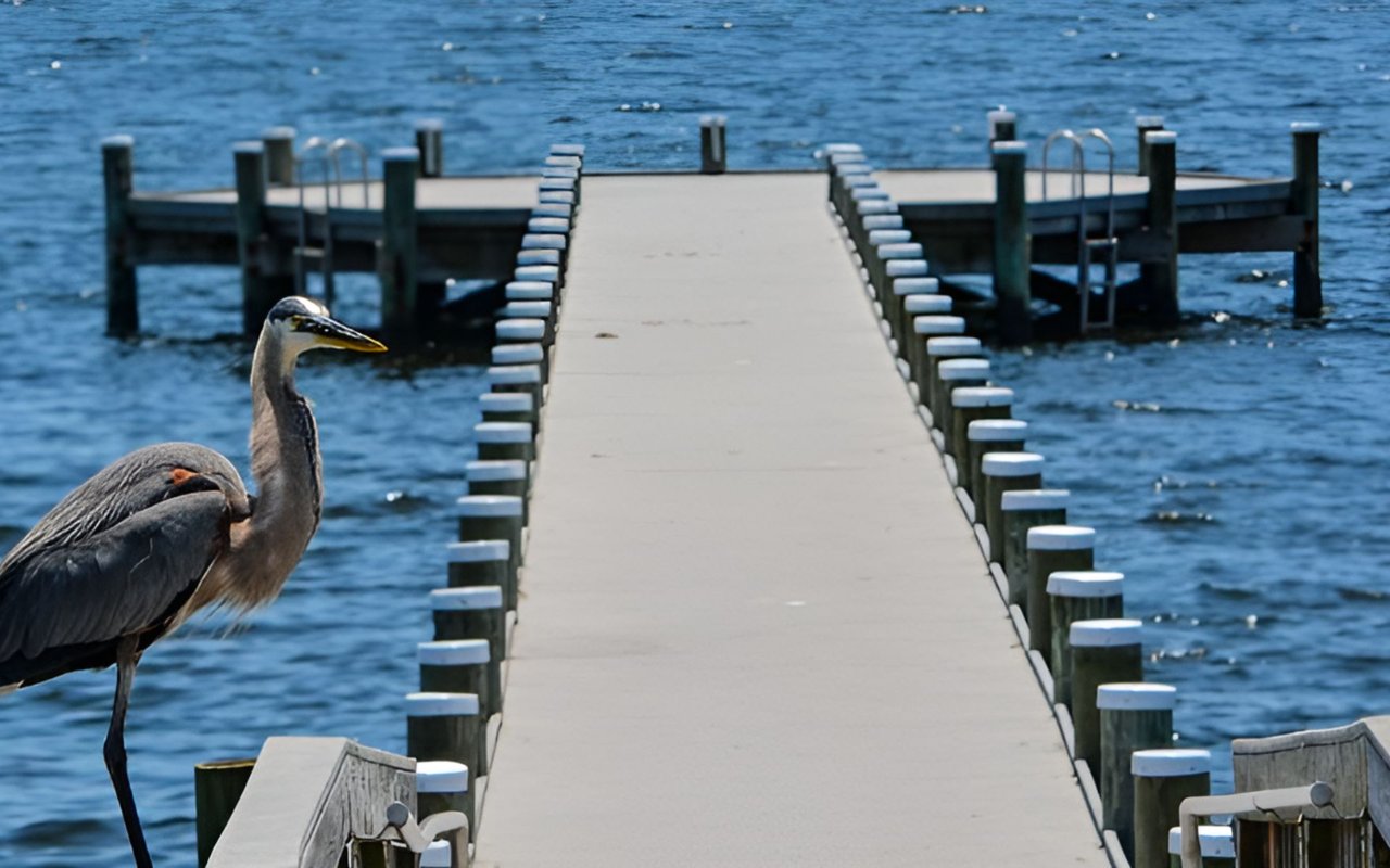 Homes for Sale In Gulf Breeze Florida