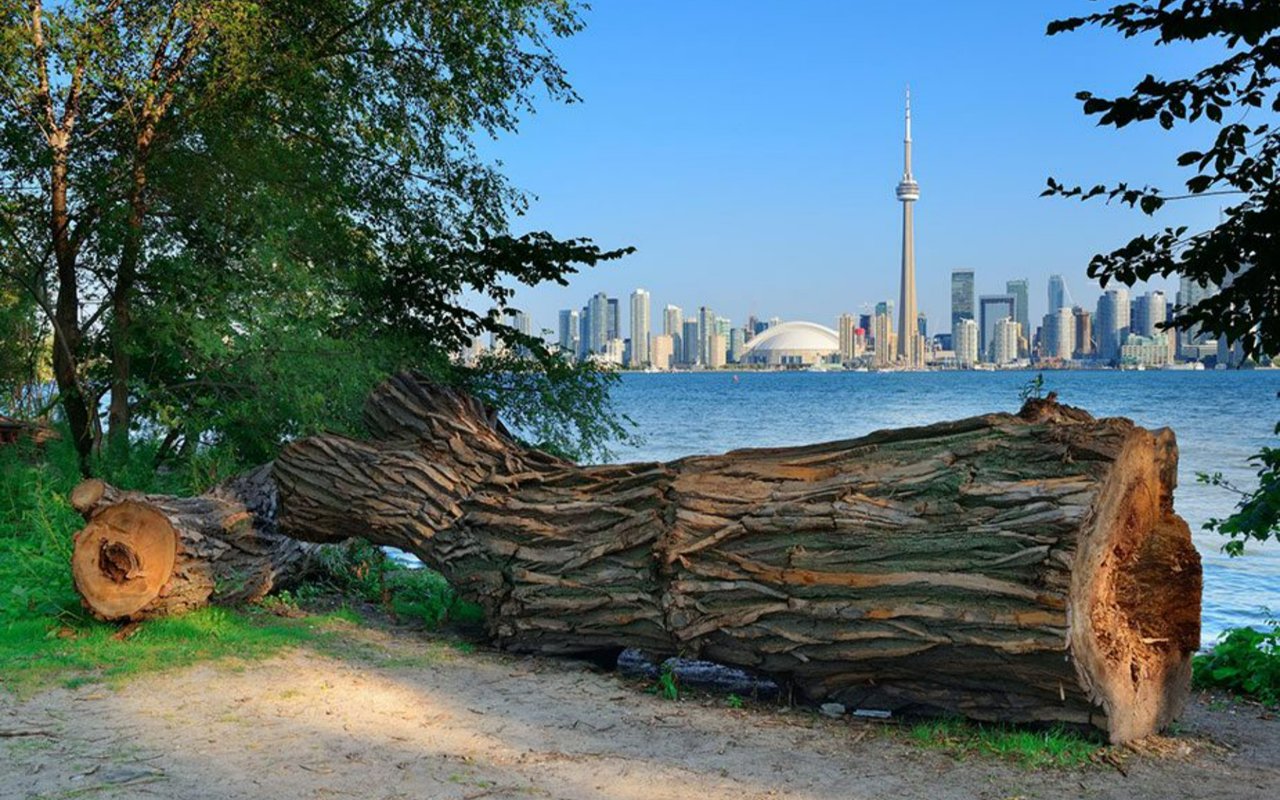 Picture Perfect: Exploring the Best Photo Spots in Toronto