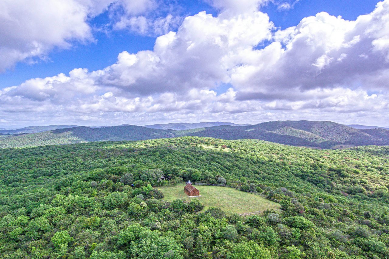 Hunting Reserve - Capalbio