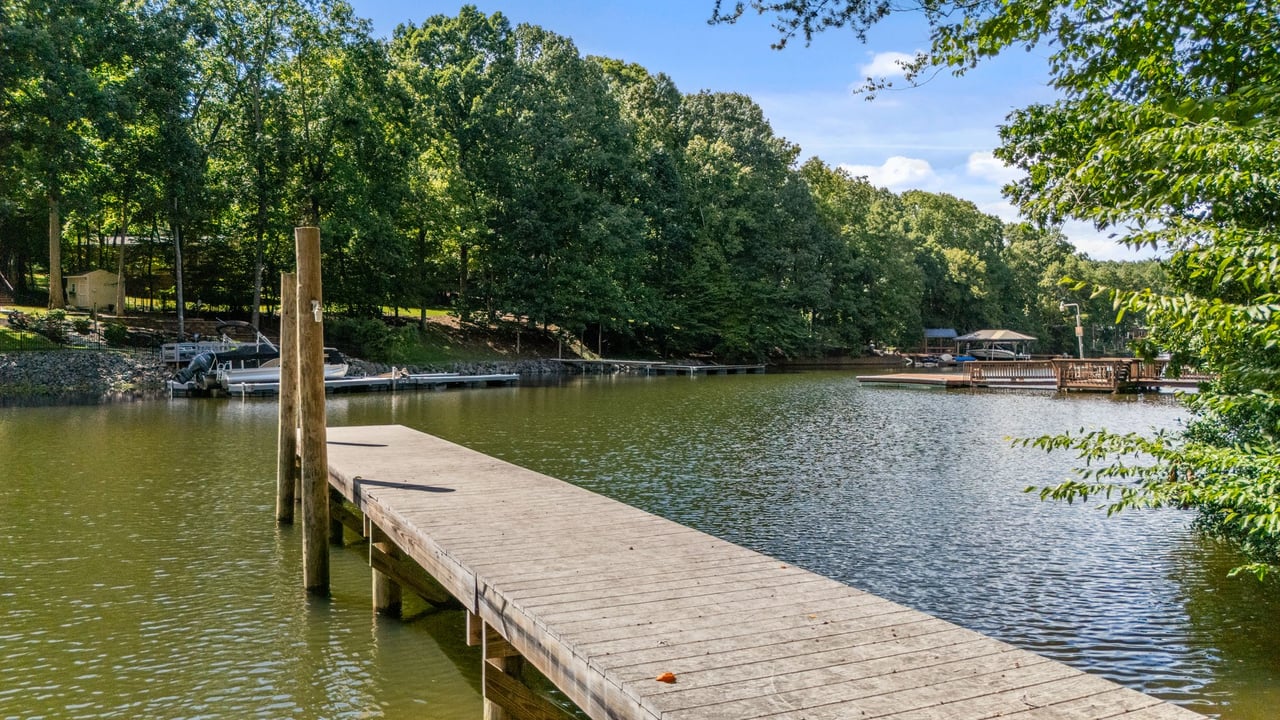 440 Beech Tree Road